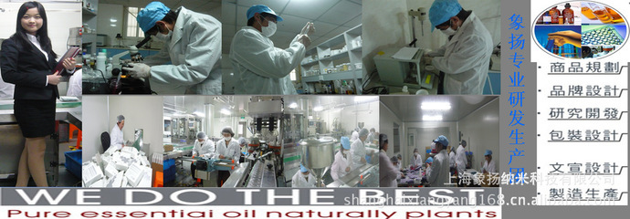 其它未分類(lèi)_上海象揚(yáng)納米科技